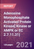Adenosine Monophosphate Activated Protein Kinase ([Hydroxymethylglutaryl CoA Reductase (NADPH)] Kinase or AMPK or EC 2.7.11.31) - Drugs in Development, 2021- Product Image